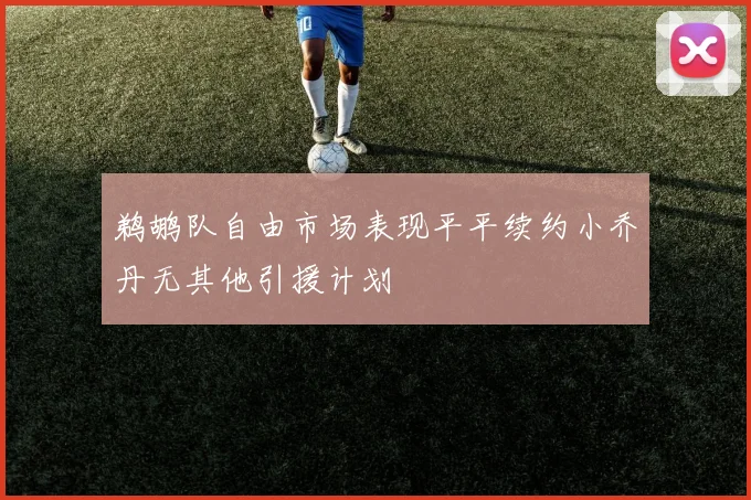 鹈鹕队自由市场表现平平续约小乔丹无其他引援计划