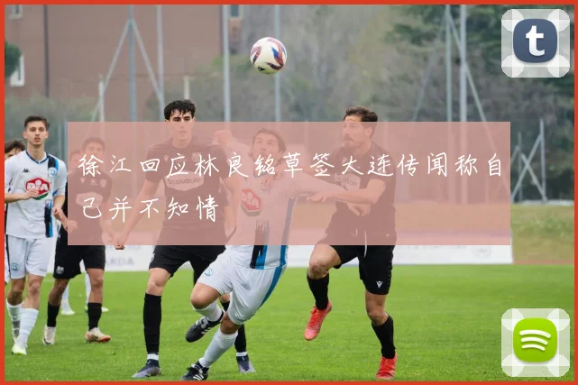 徐江回应林良铭草签大连传闻称自己并不知情